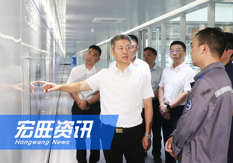 娄底市委书记曾超群一行莅临湖南宏旺调研项目建设
